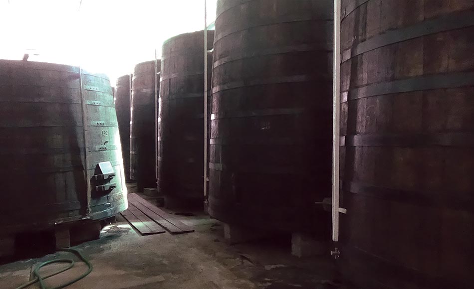 Spazi Confinati Settore Vitivinicolo